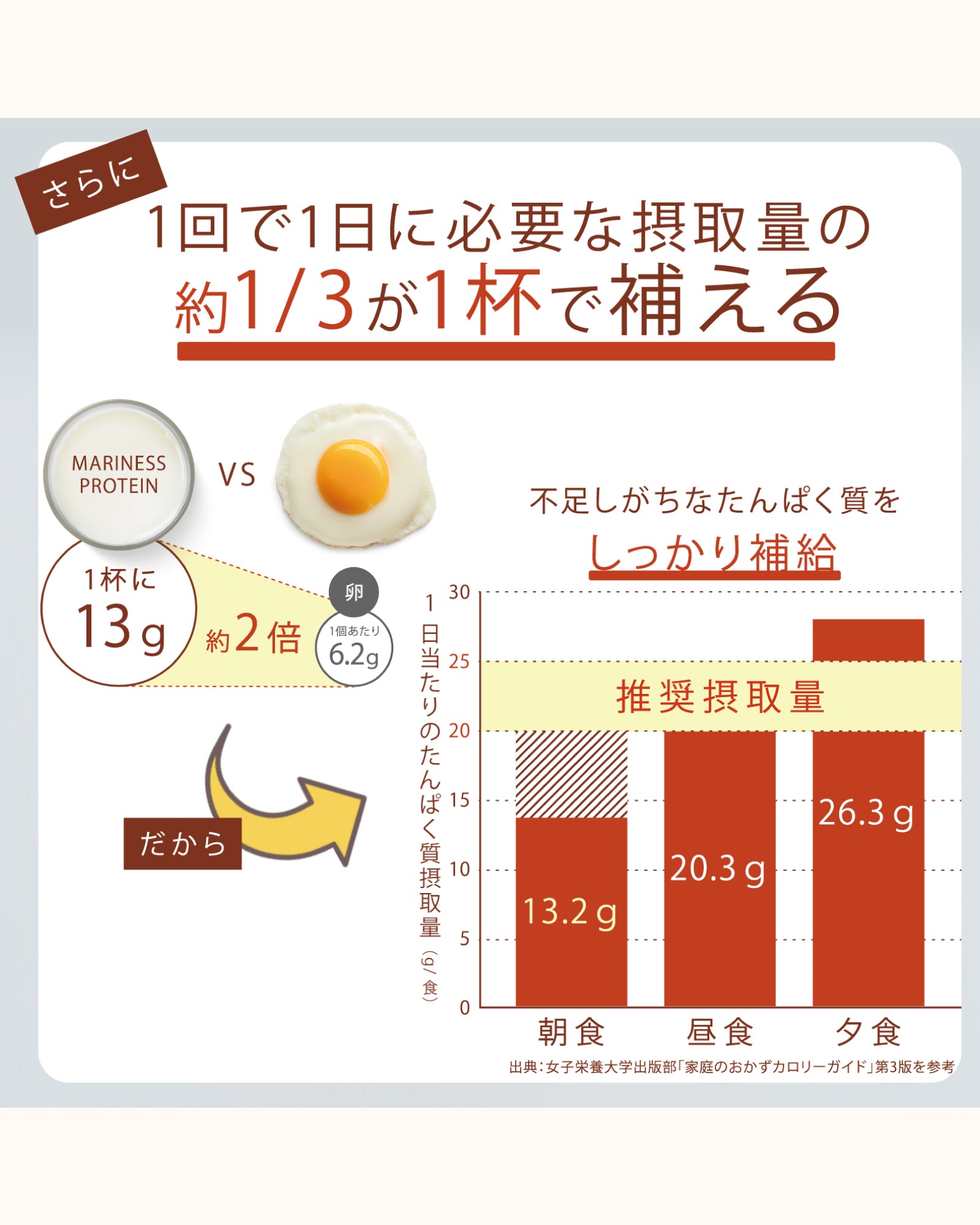 プロテイン 約31回分 – mariness